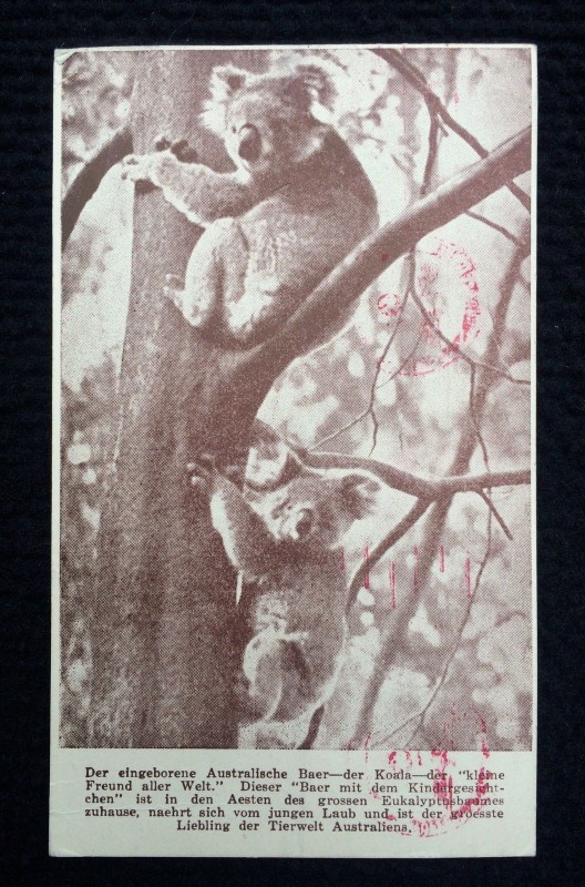 1942 - YMCA WW2 POW CHRISTMAS POSTCARD to Germany (Koala)_B.jpg