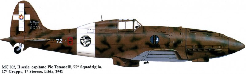 macchi202.jpg